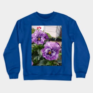 Beautiful Purple Pansies in the Garden Crewneck Sweatshirt